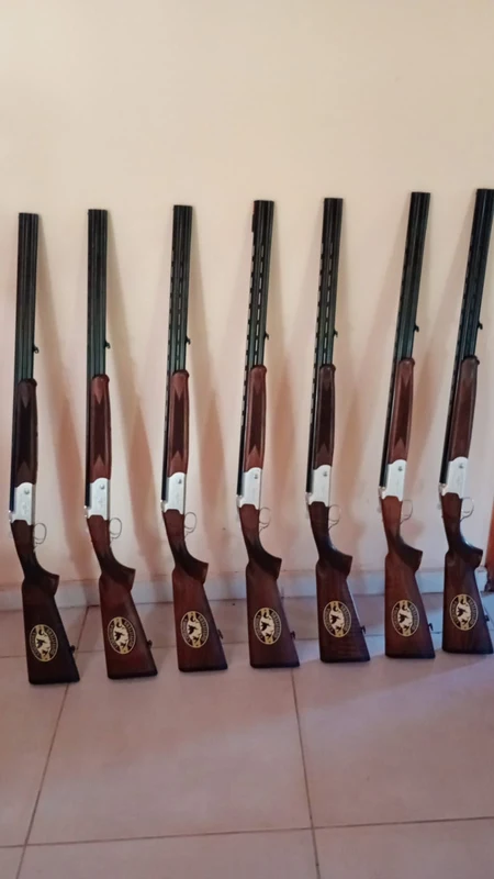 Escopetas disponibles para alquiler